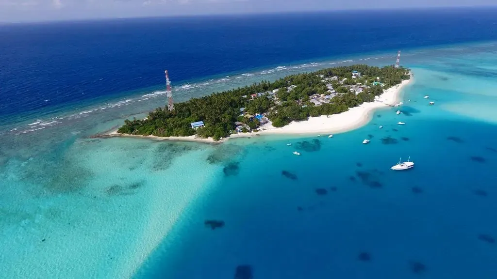 މަސްހިފަން މޫދަށް ފައިބައިގެން އުޅެނިކޮށް ގެއްލުނު ފަތުރުވެރިން ފެެނިއްޖެ