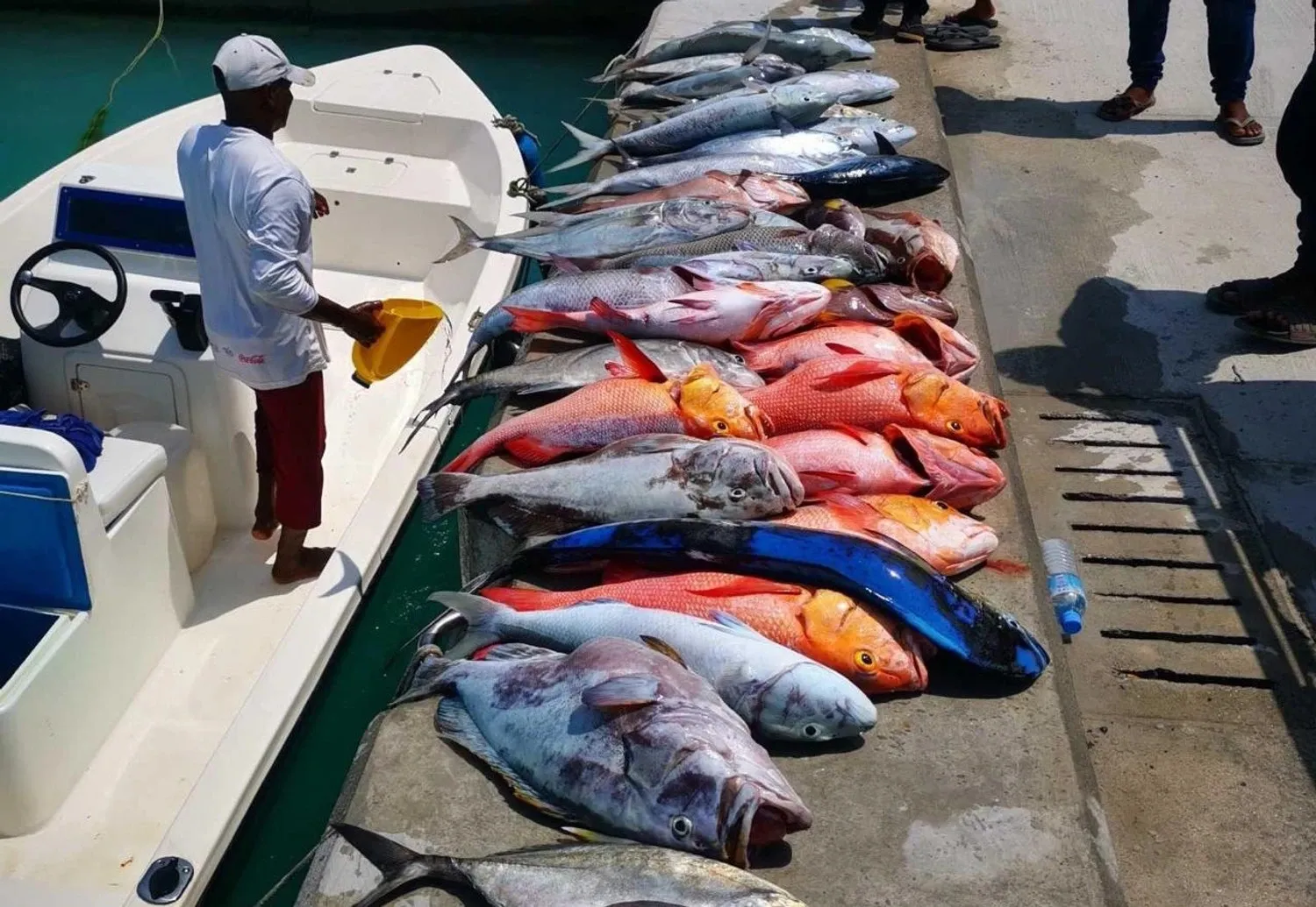 ފަރުމަހުގެ މަސްވެރިކަން-- ފޮޓޯ: މިނިސްޓްރީ