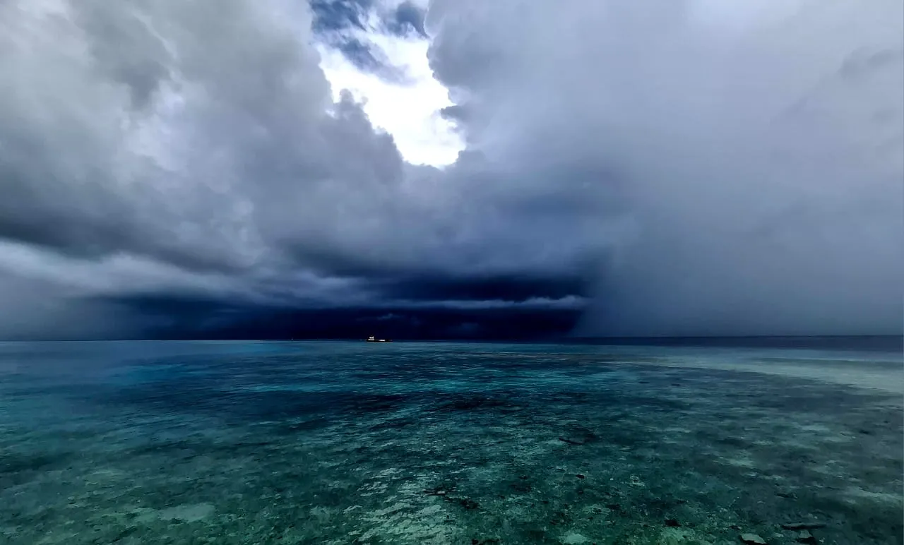 މޫސުން ގޯސް ދުވަހެއް