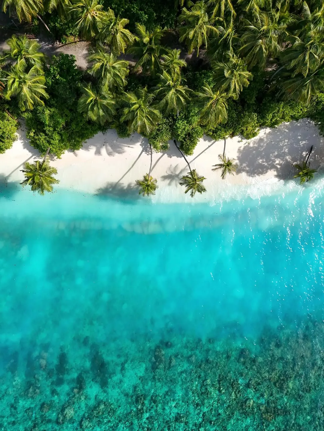 Tourism Ministry Opens 17 New Sites for Halal Tourism and Resort Development