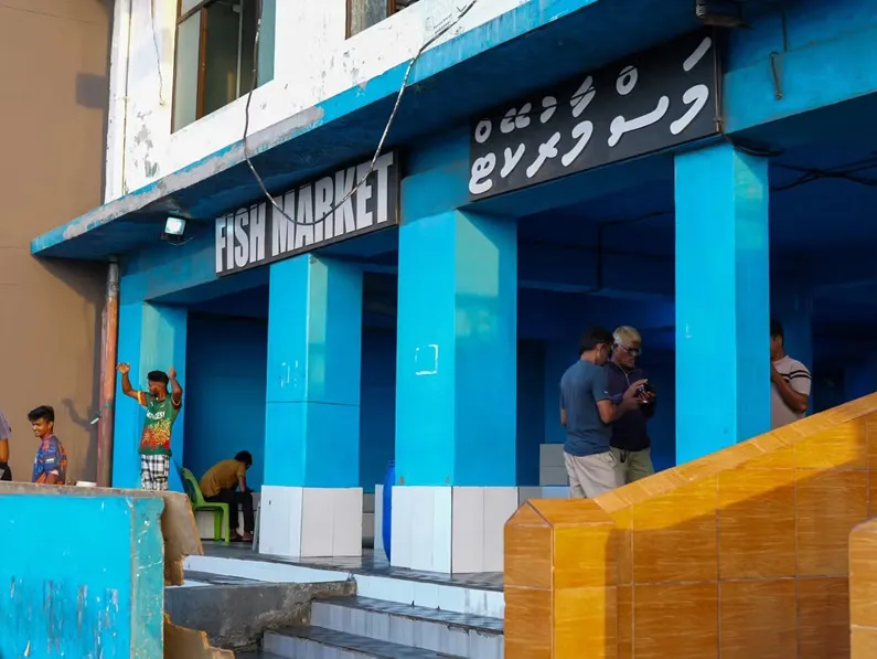 މާލޭ މަސްމާޜުކޭޓު --