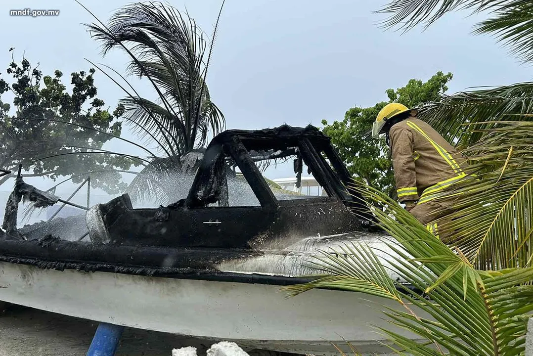 އަލިފާން ރޯވި، ކ. މާފުށީ ލޯންޗު