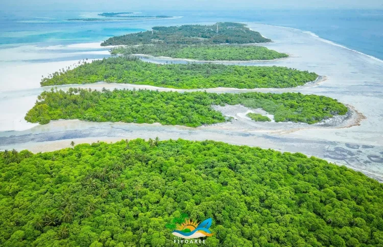 ފިޔޯރީން ފުރި ޑިންގީއެއް ގެއްލިއްޖެ، ތިން މީހުން ދަތުރުކުރި