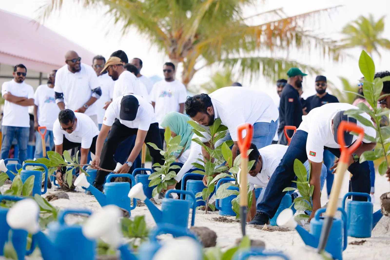 އެޗްޑީސީން މިއަދު ކުޑަގިރިއަށް ކުރި ދަތުރުގެ ތެރެއިން.. ފޮޓޯ: އެޗްޑީސީ