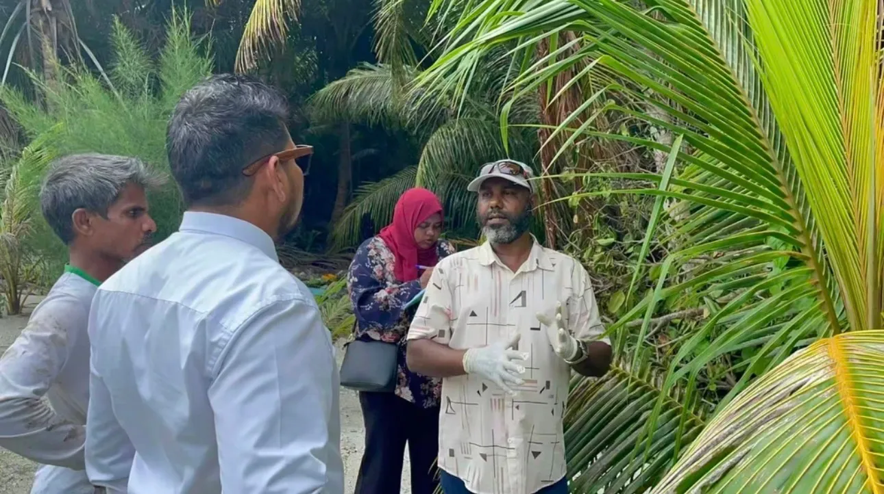 ހުދުކޫޑި ކޮންޓްރޯލުކުރުމަށް ރުއްތަކަށް ބޭސްލުމުގެ ޕްރޮގުރާމެއް ފަށައިފި