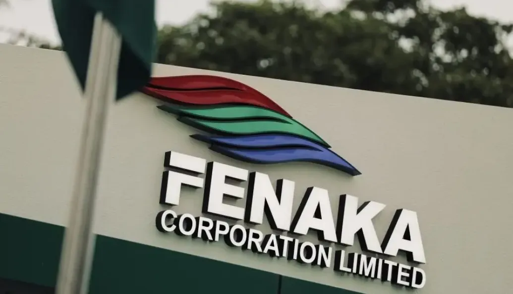 Government to Dissolve Fenaka and Transfer Operations to STELCO