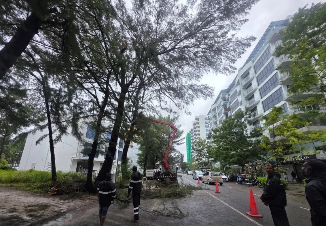 ގަސްތައް ނެގުމުގެ މަސައްކަތް އެޗްޑީސީން ފަށައިފި
