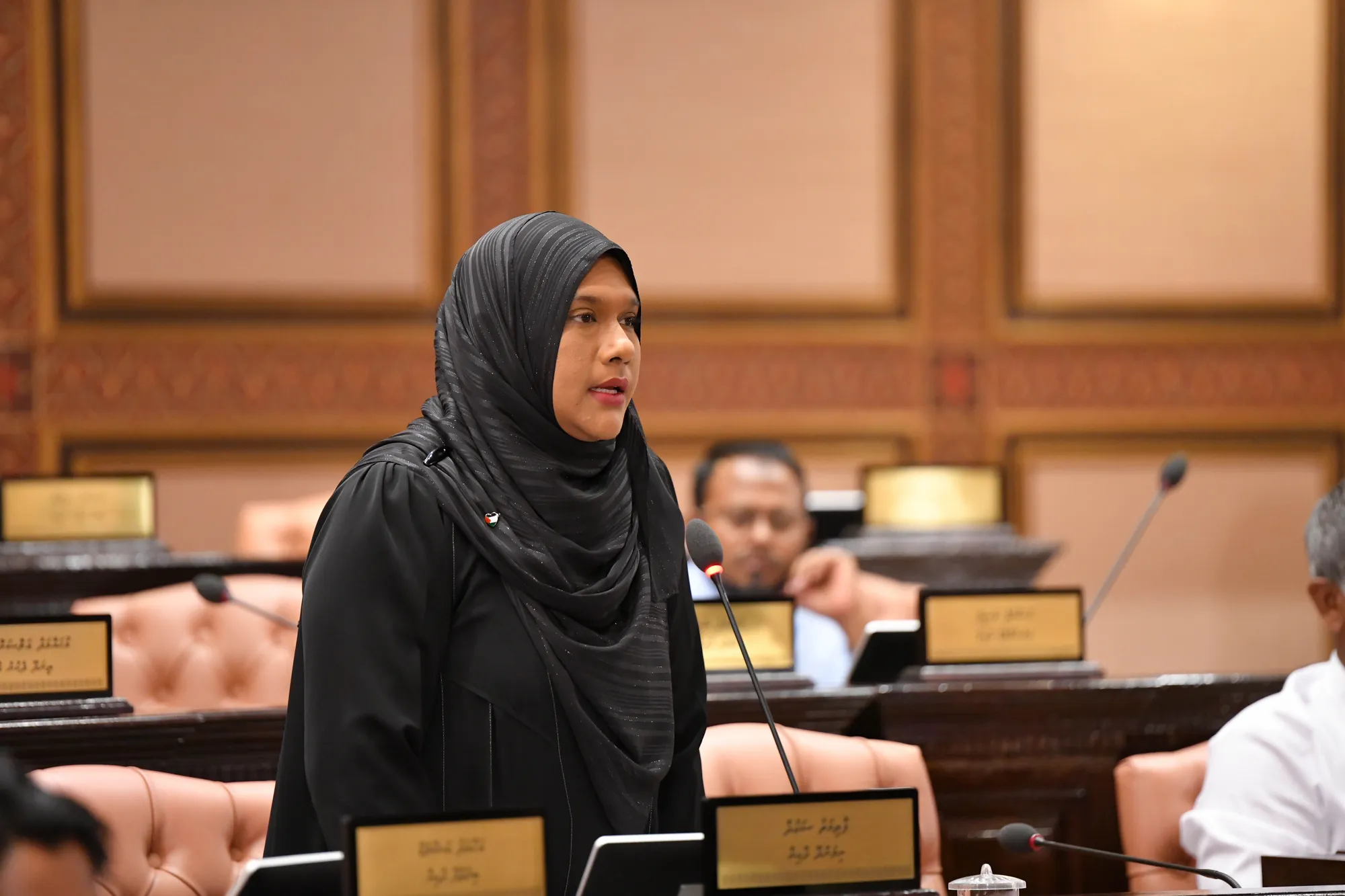 މަޖިލީހުގެ މިއަދުގެ ޖަލްސާގައި ސައުދާ ވާހަކަދައްކަވަނީ: ފޮޓޯ/ މަޖިލިސް