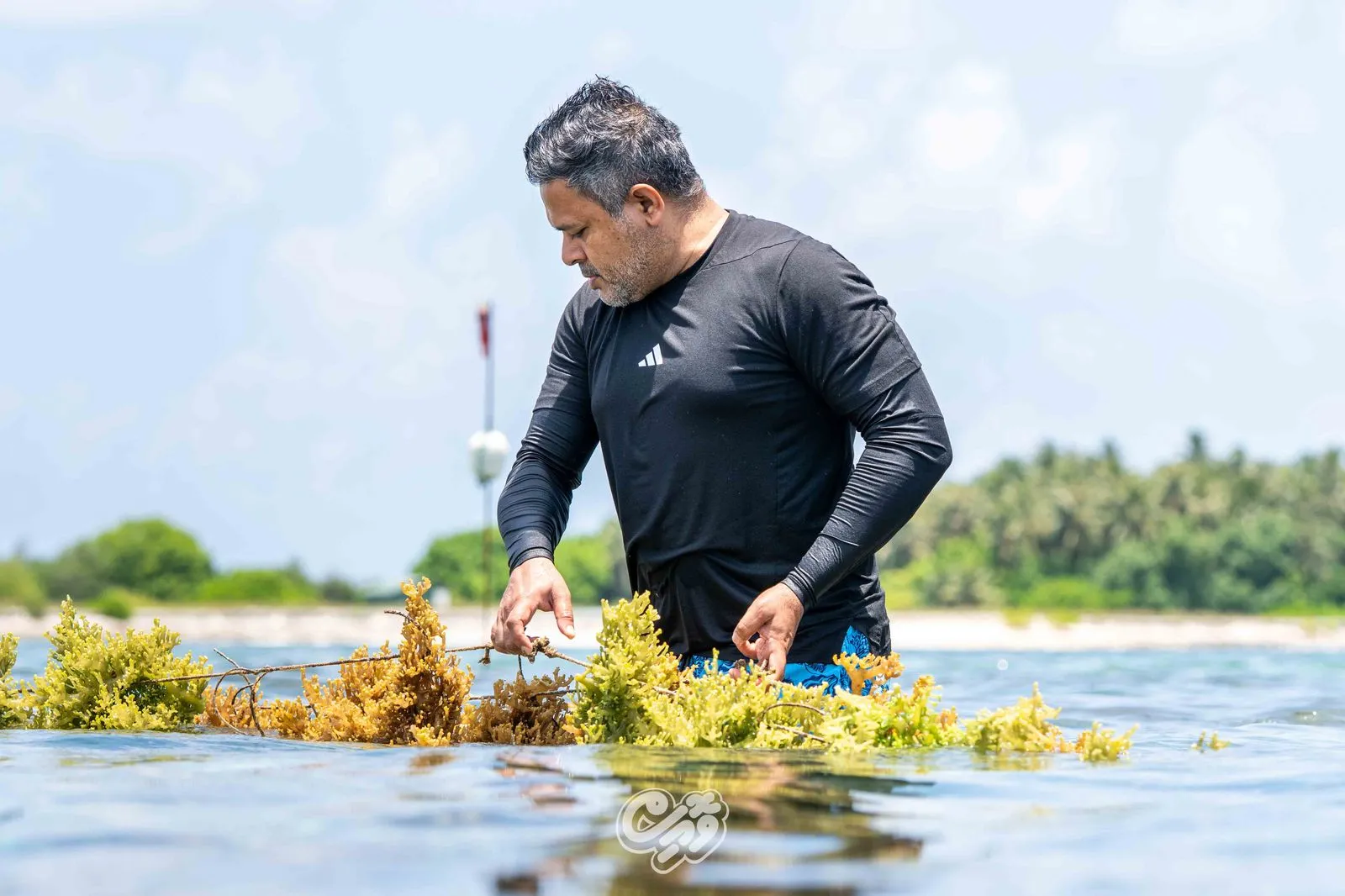 ފެހެންދޫގައި މޫނުވިނަ އާލާކުރުމުގެ މަޝްރޫއު ފެށުން -- ފޮޓޯ: ވޮއިސް
