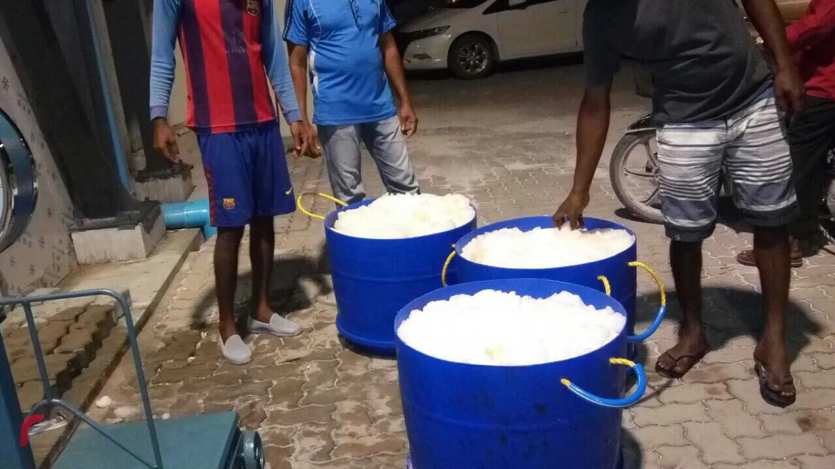 އައިސް ޕްލާންޓުން ހަދާ އައިސްއަކީ މަސްވެރިންނަށް ވަރަށް މުހިއްމު އެއްޗެއް