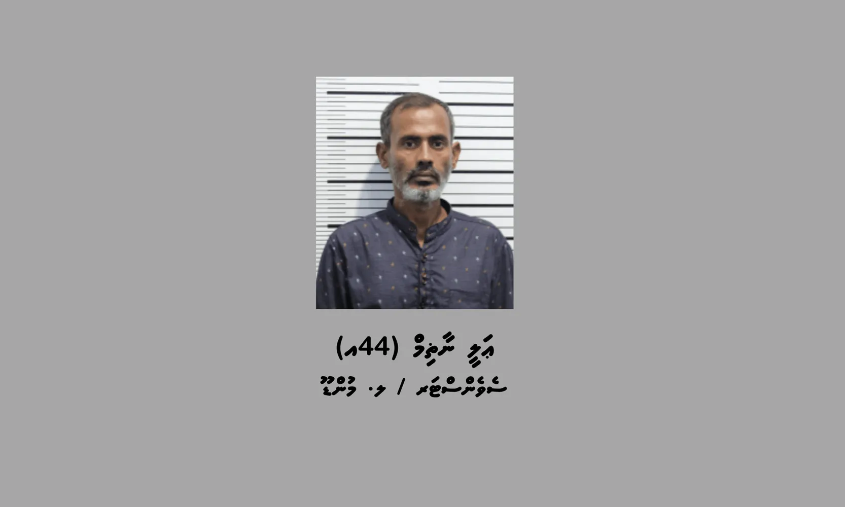 ފޮޓޯ: ޕޮލިސް