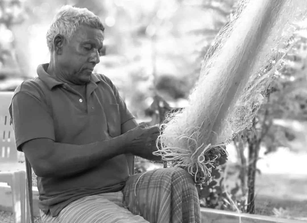 މަސް ހިފަންގޮސް އުޅުނު މީހަކު ގެނބިގެން ނިޔާވެއްޖެ