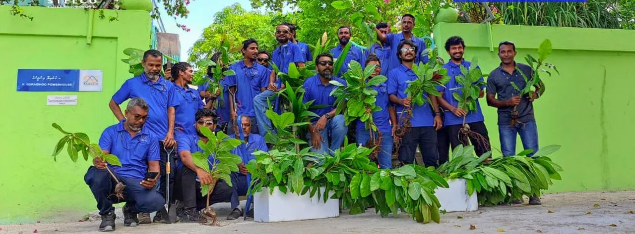 STELCO employees planting trees in K. Guraidhoo (Photo/STELCO)