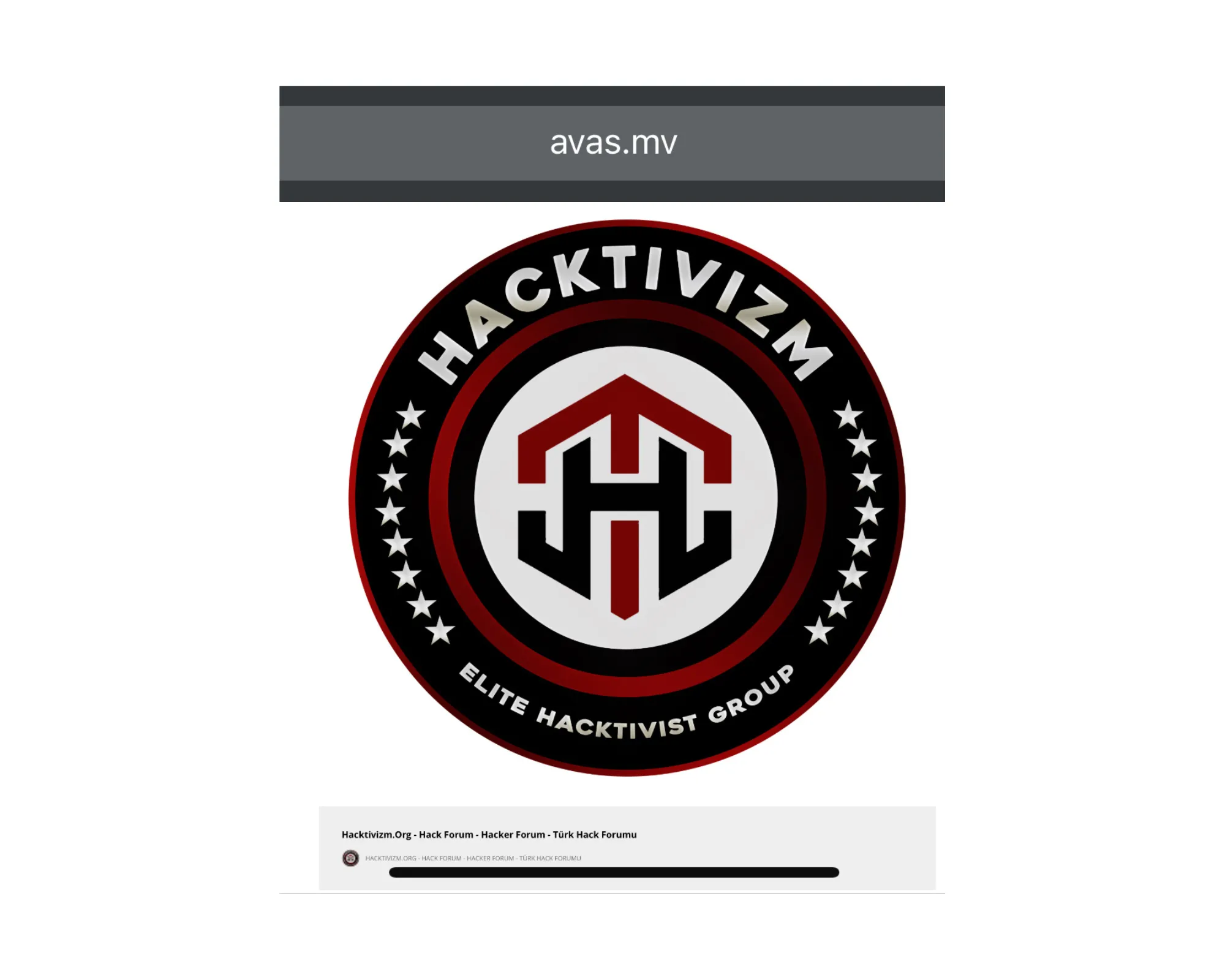 The hactivism group that hacked Avas News Website
