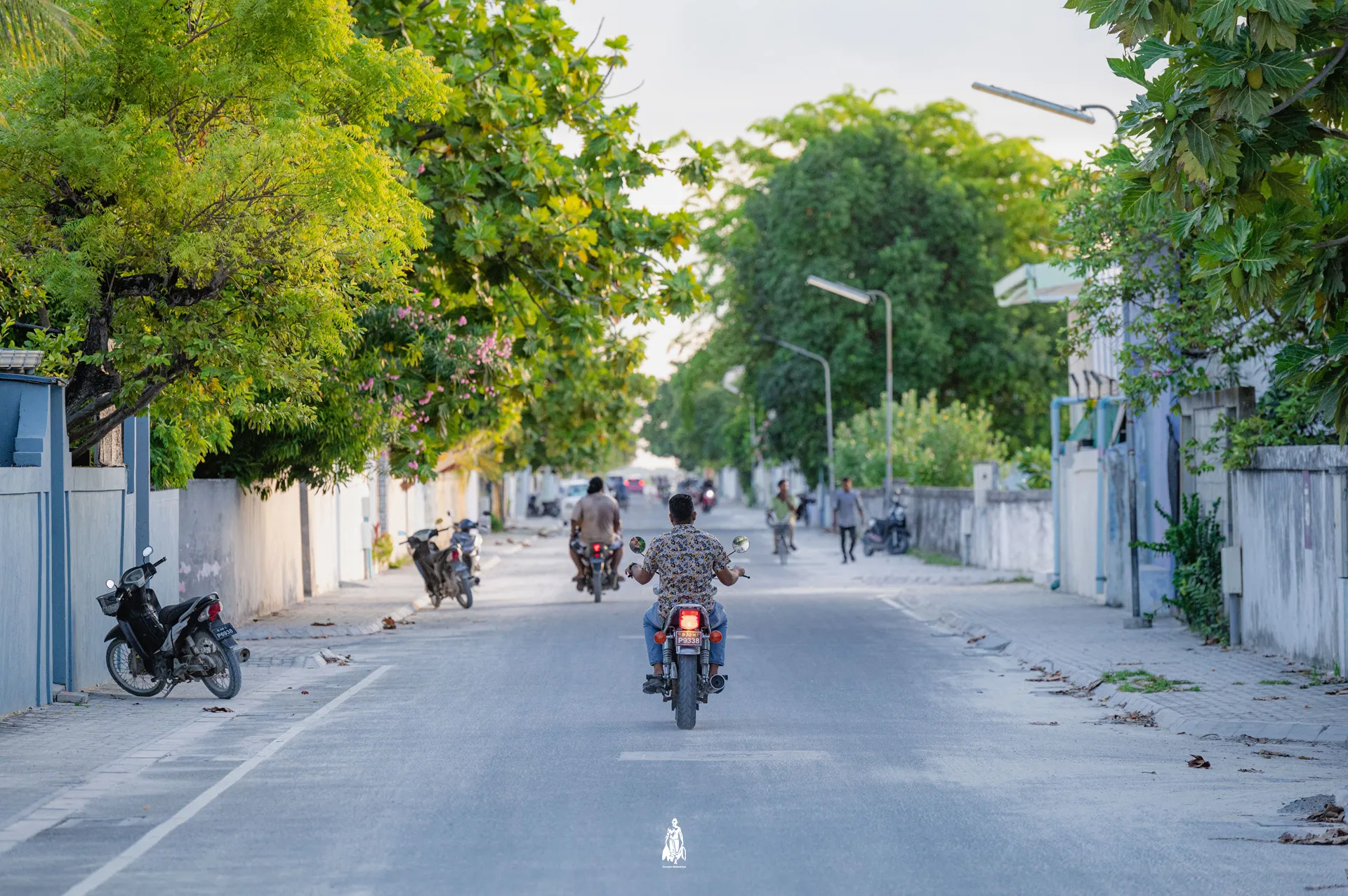 ކުޅުދުއްފުށި ސިޓީ -- ފޮޓޯ: ޒުވާން މަސްވެރިޔާ ޕޭޖް