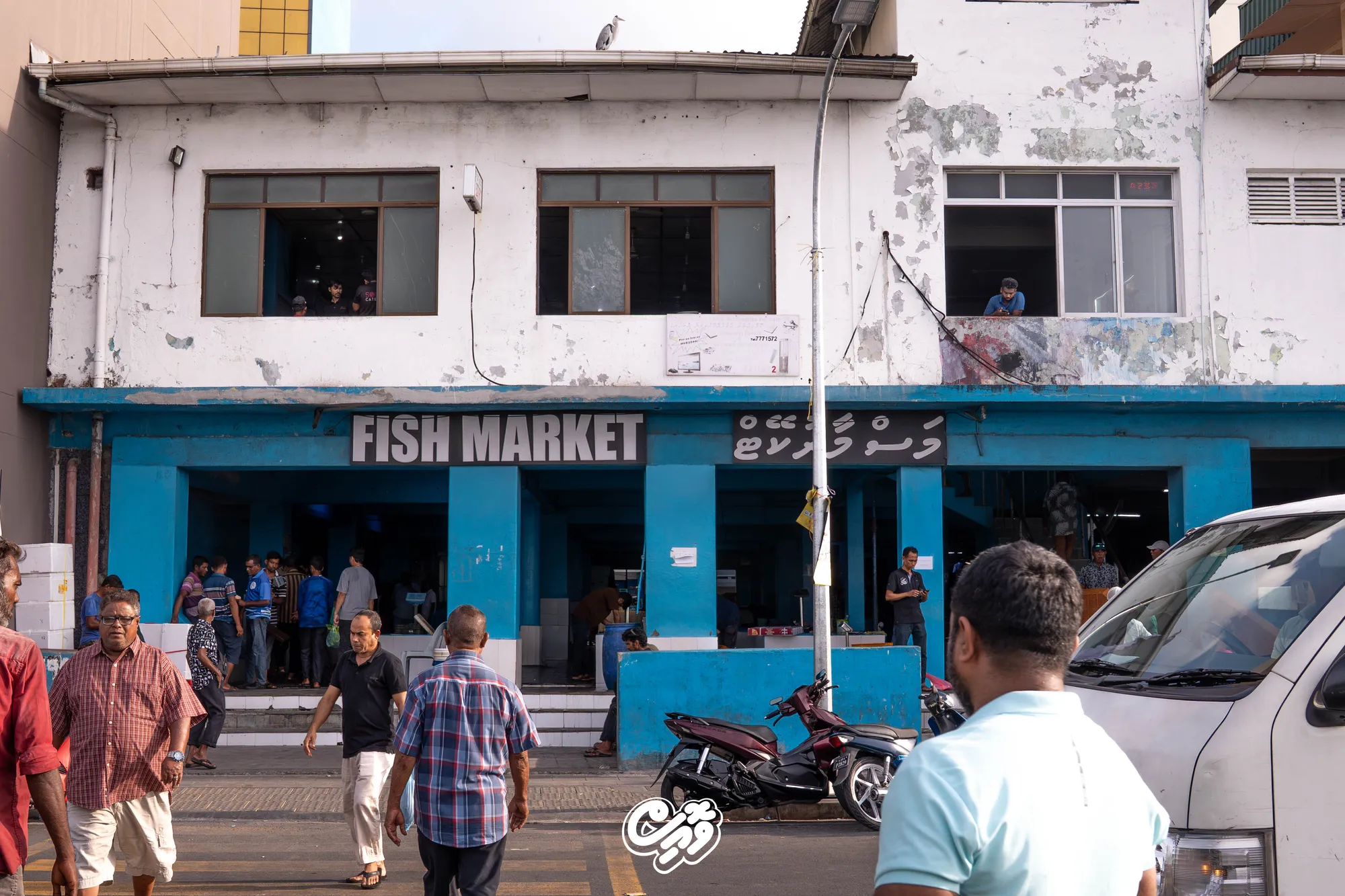 އޮގަސްޓް މަހު ބާޒާރުގެ އަގުތައް 1.15 އިންސައްތަ ދަށަށް ގޮސްފި