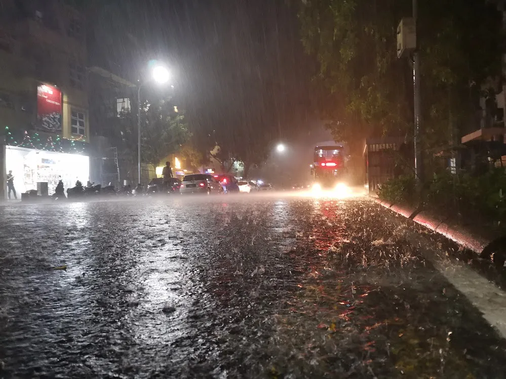 ރާއްޖޭގެ ބޮޑު ސަރަހައްދަކަށް ވައިޓް އެލާޓް ނެރެފި