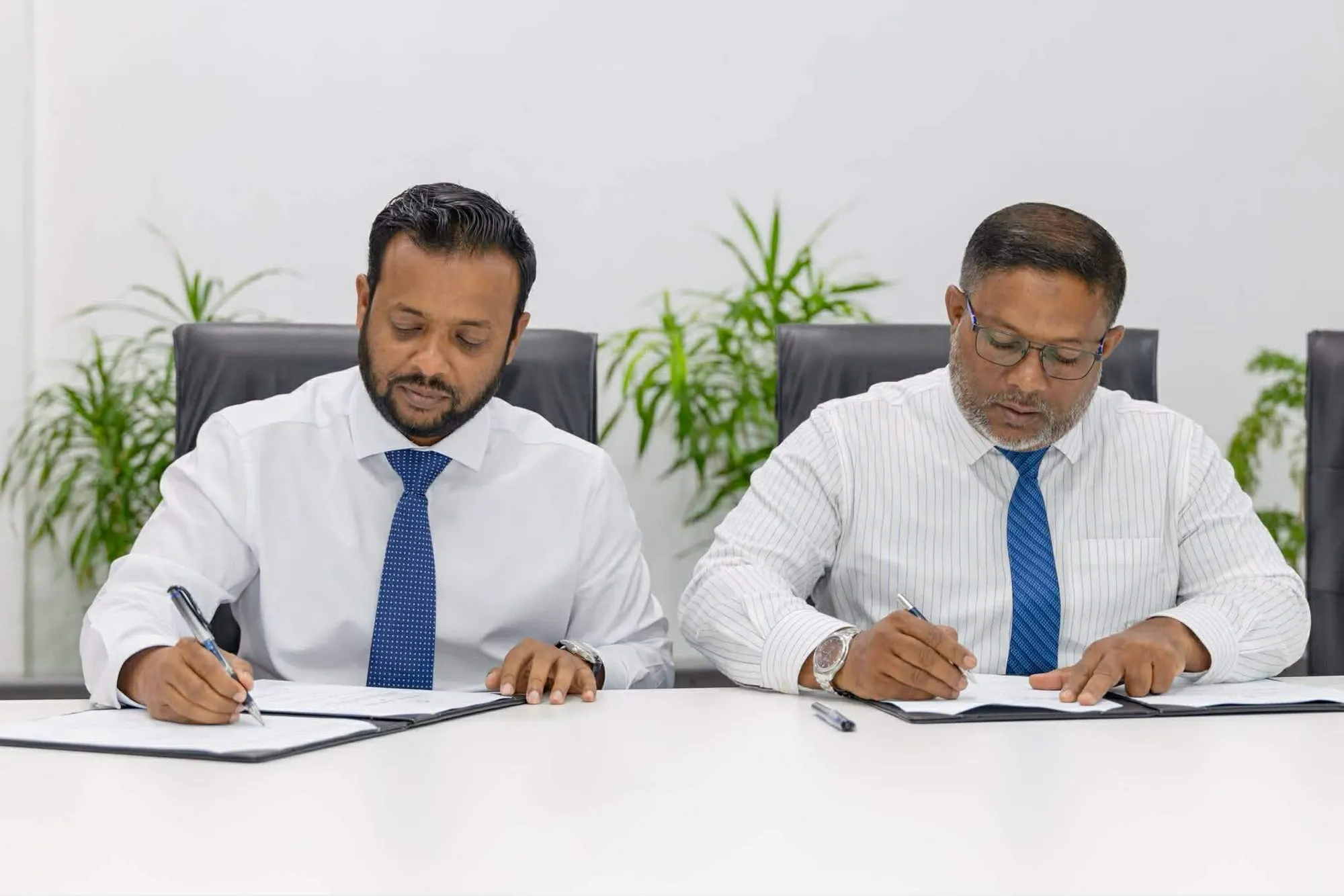 ތިނަދޫގެ އިތުރު 50 މަގެއްގައި ތާރު އަޅަނީ