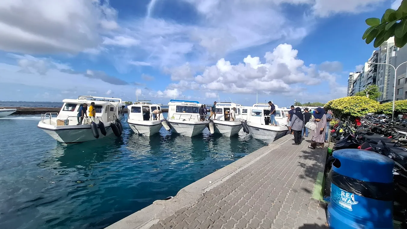 މާލޭ ފަޅުގައި އަޅާފައިއޮތް ލޯންޗުތަކެއް... ފޮޓޯ: ވޮއިސް