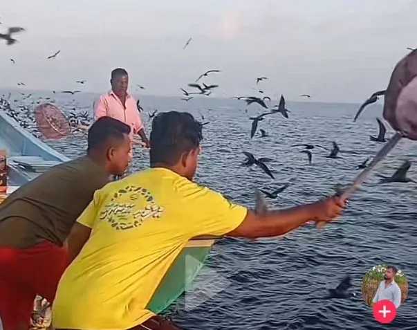 އައިންމަތީ ދޫނިތަކަކަށް ބިދޭސީން އަނިޔާ ކުރާ ވީޑިއޯއެއް 