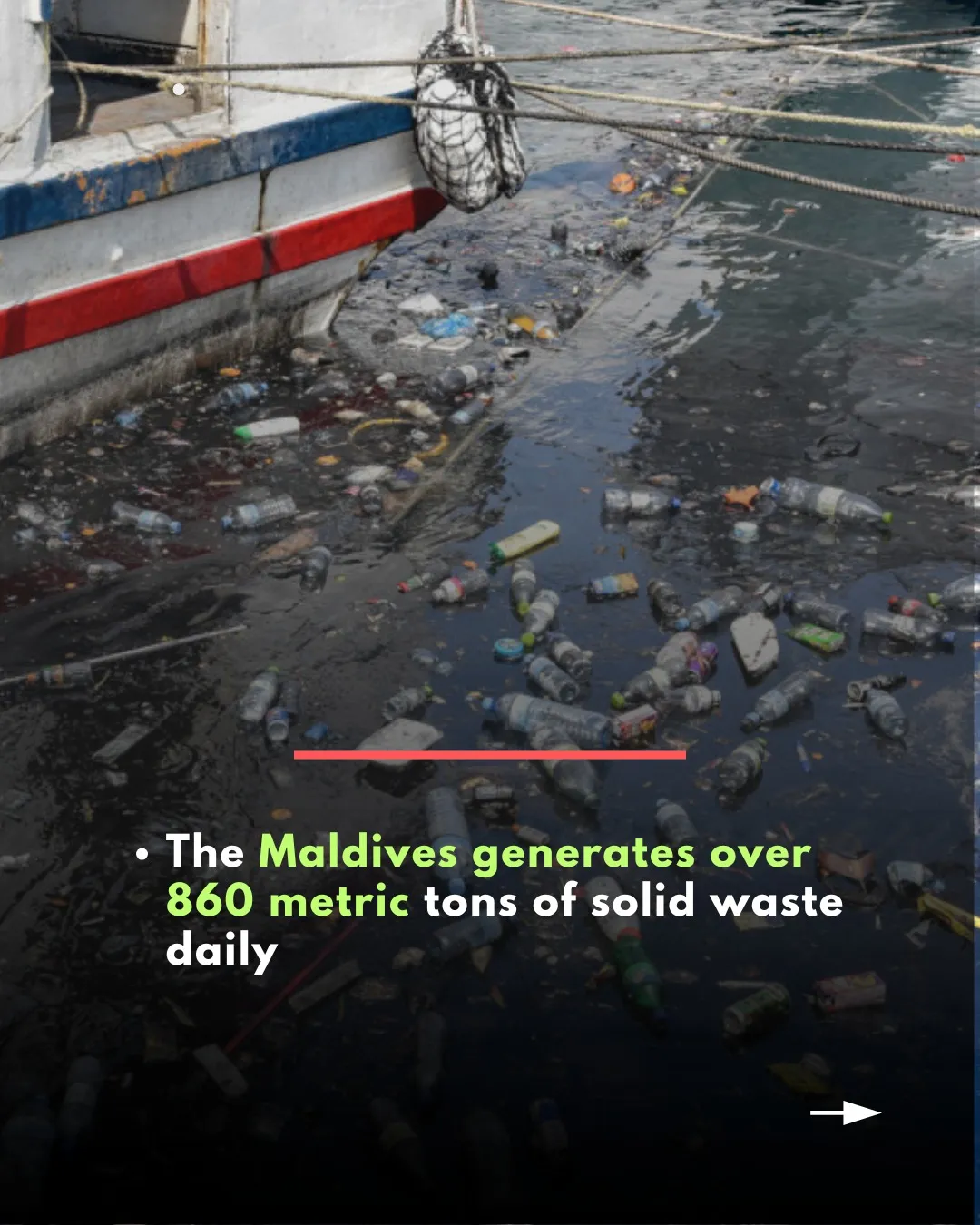 Garbage paradise