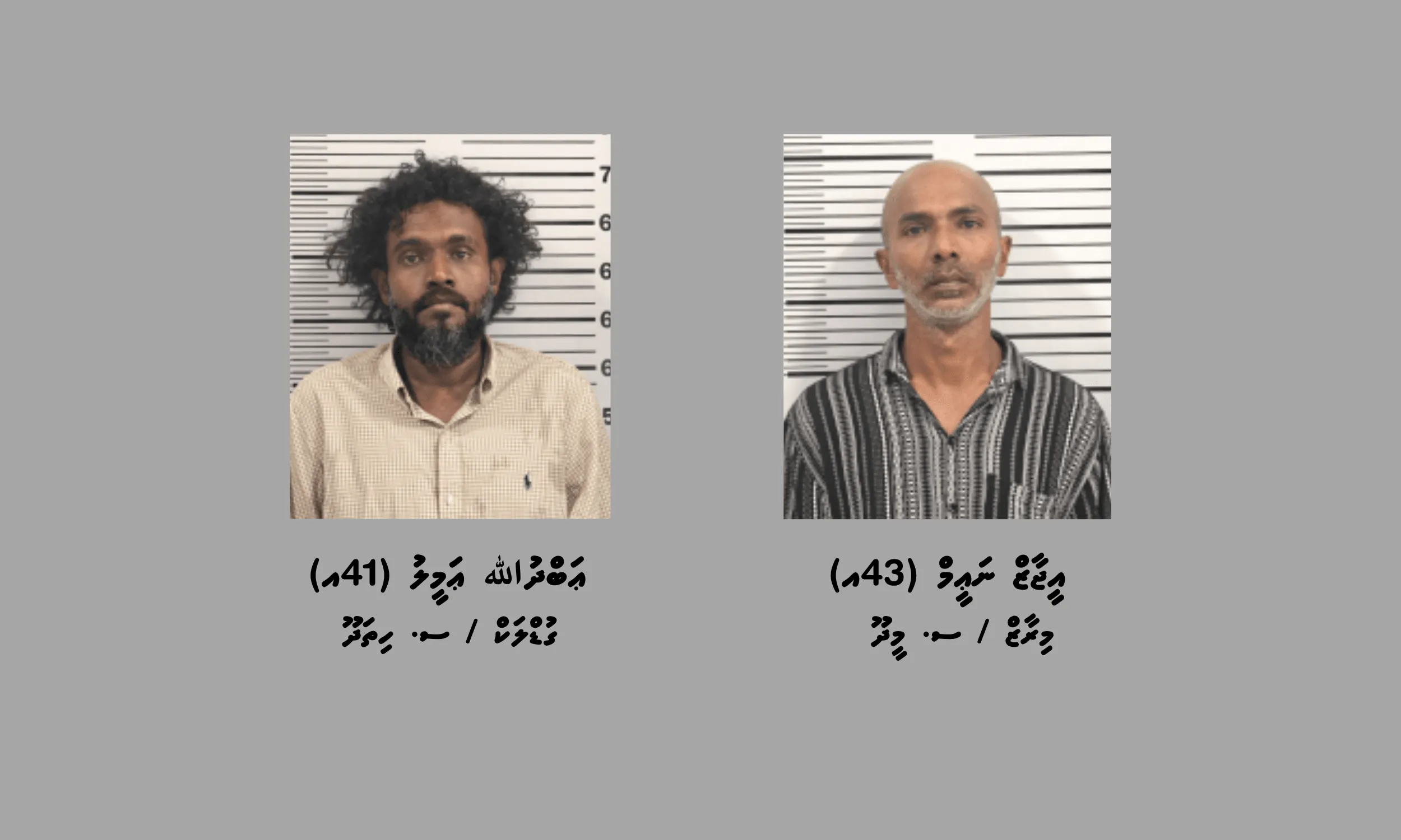 މަސްތުވާތަކެތީގެ ވިޔަފާރިކުރާކަމުގެ ތުހުމަތުގައި ސ. މީދޫއިން ދެމީހުން ހައްޔަރުކޮށްފި