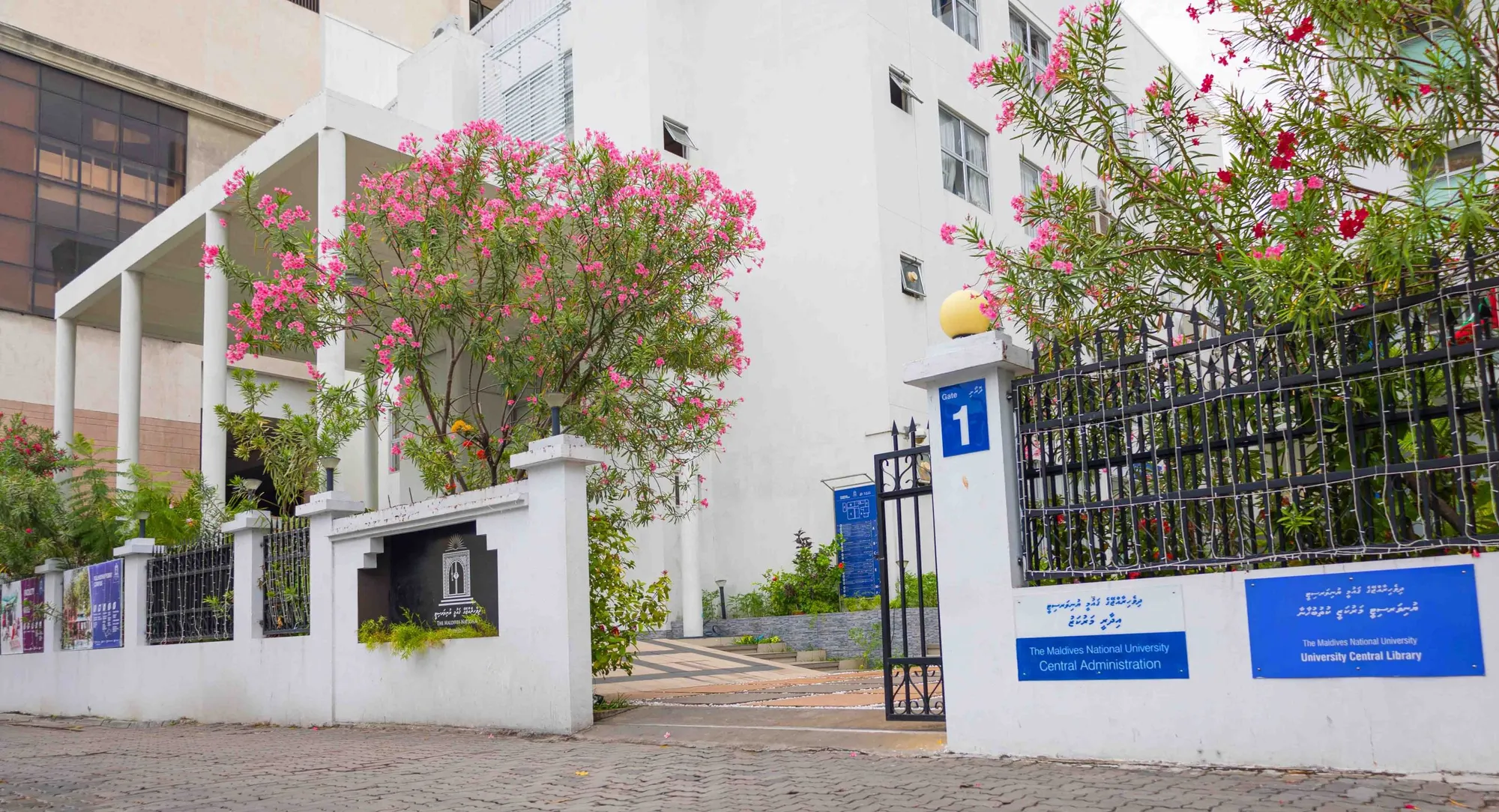 ހިލޭ ޑިގްރީ ސްކީމުގައި ބައިވެރިވި ދެބައިކުޅަ އެއްބައި ދަރިވަރުން ކޯސް ނުނިންމާ: އޮޑިޓް