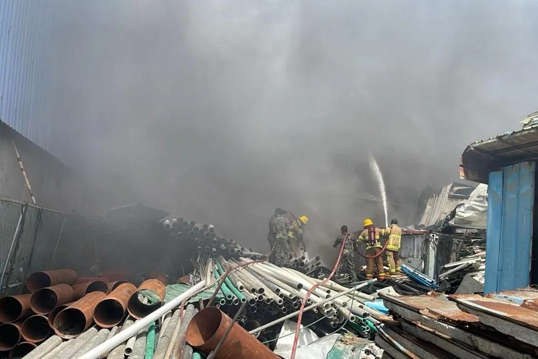 މެރީންޑޯ ވޯކްޝޮޕުގައި ރޯވި އަލިފާން، އެމްއެންޑީއެފް އެފްއާރުއެސްއިން ނިއްވާލައިފި