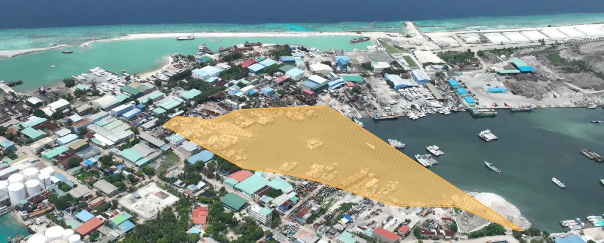 ތިލަފުށީ ފަޅު ހިއްކުމަށް އެތަނުގައި ހުރި އުޅަނދުތައް ނަގަން އަންގައިފި