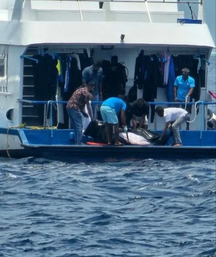 މަރުވި މީހާ ދޯންޏަށް ނަގަނީ