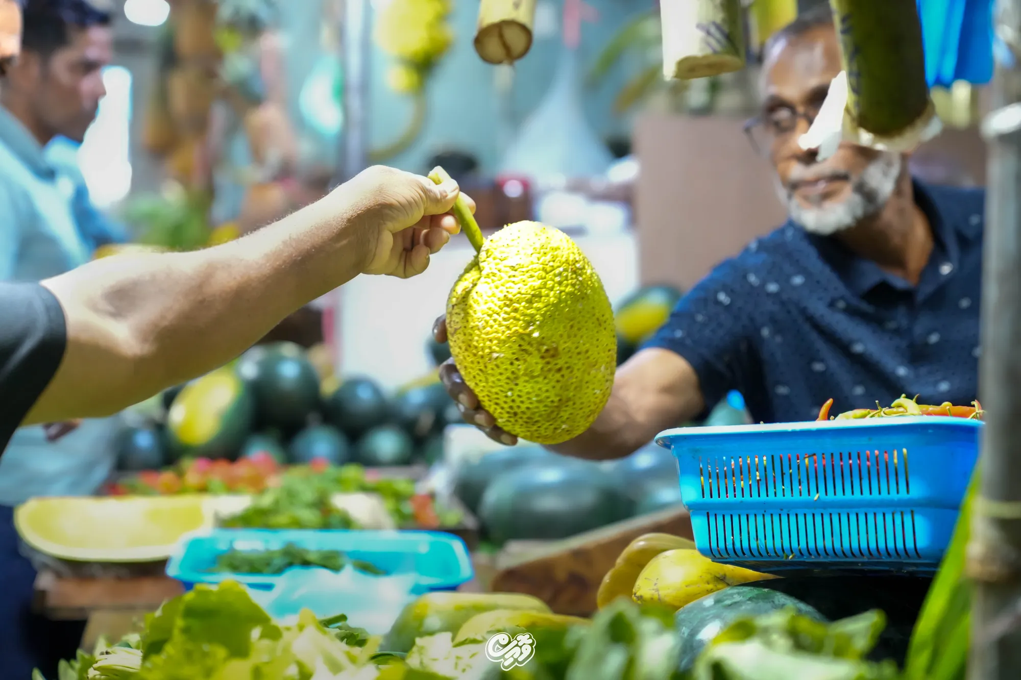 ފިހާރަތައް ހުޅުވާ ގަޑިތަކާއި ބަންދުކުރާ ގަޑިތަކުން ދިރިއުޅުމުގެ ވައްޓަފާޅިއަށް ބަދަލު އަންނަކަން އެނގޭތަ؟