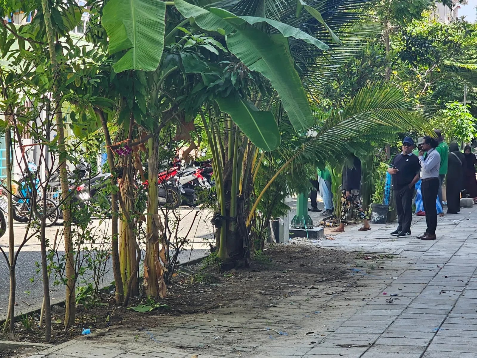 ގަސްފާރުތައް ސާފުކޮށް ބޮޑެތި ގަސްތައް ނެގުމުގެ މަސައްކަތް އެޗްޑީސީއިން އަންނަނީ ކުރަމުން -