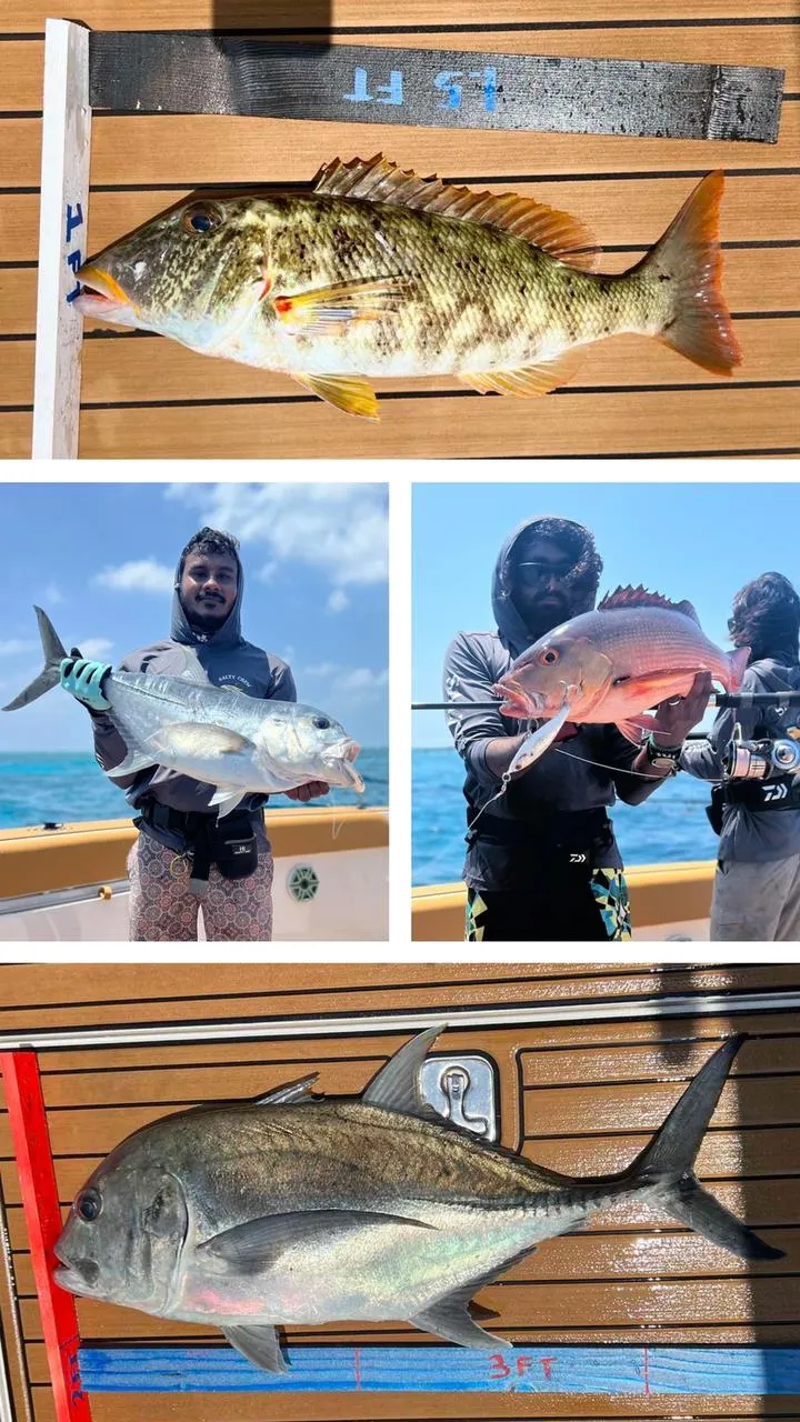 106 ބައިވެރިންނާއެކު ކަނޑުފޯރި، ފޯރިއާއެކު ކުރިއަށް!