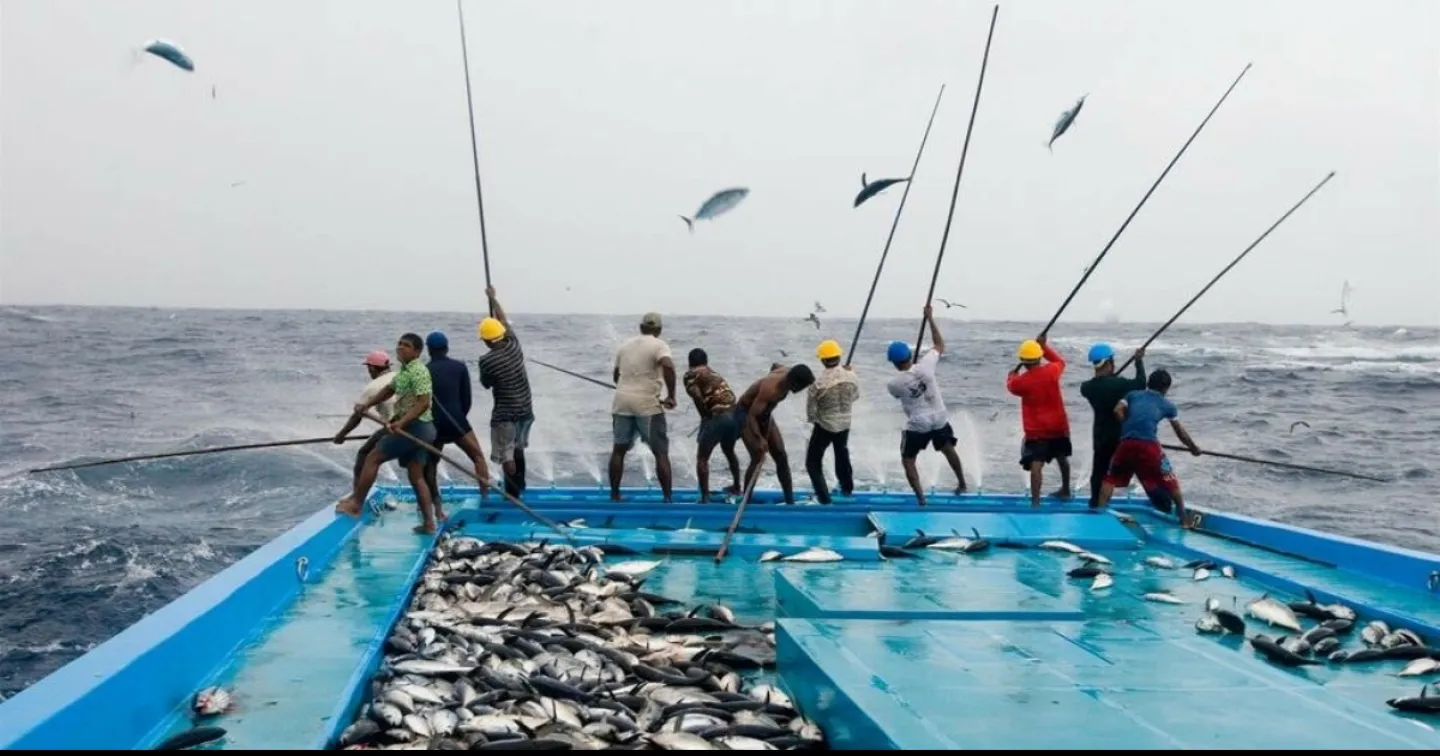އަނގޮޅިތީމު ކިއުޓް ޖަމިއްޔާގެ މަސްރޭސް ޑިސެމްބަރު 16 ގައި
