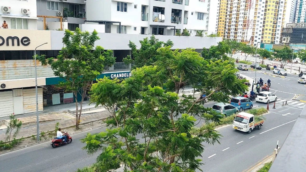 މީހާ ވެއްޓުނު ސަރަހައްދު -- ފޮޓޯ: ވޮއިސް