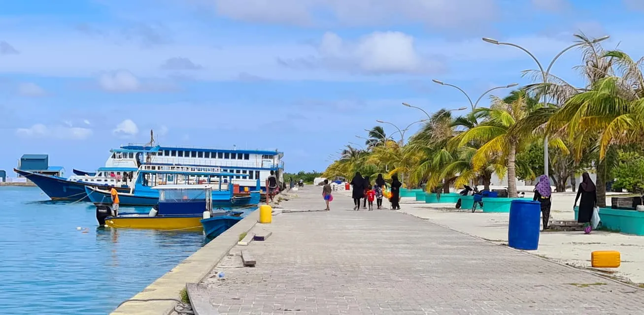 ތުޅާދޫގައި މަސްވެރިންގެދުވަސް ފާހަގަ ނުކުރަން ނިންމައިފި