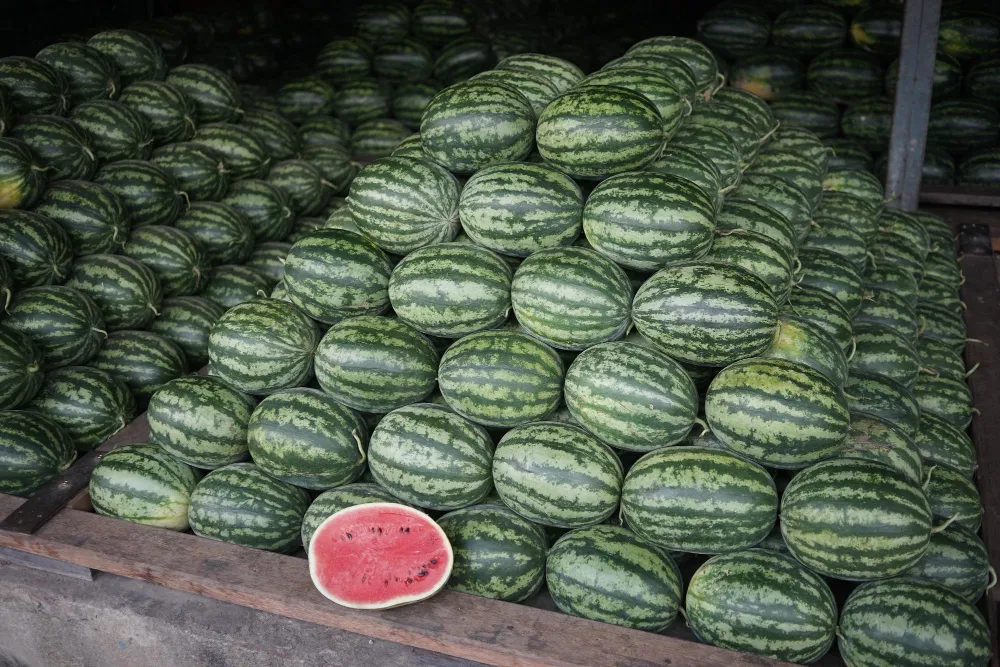 Fifth Day of Ramadan Sees Watermelon as Top Cleared Item at MPL