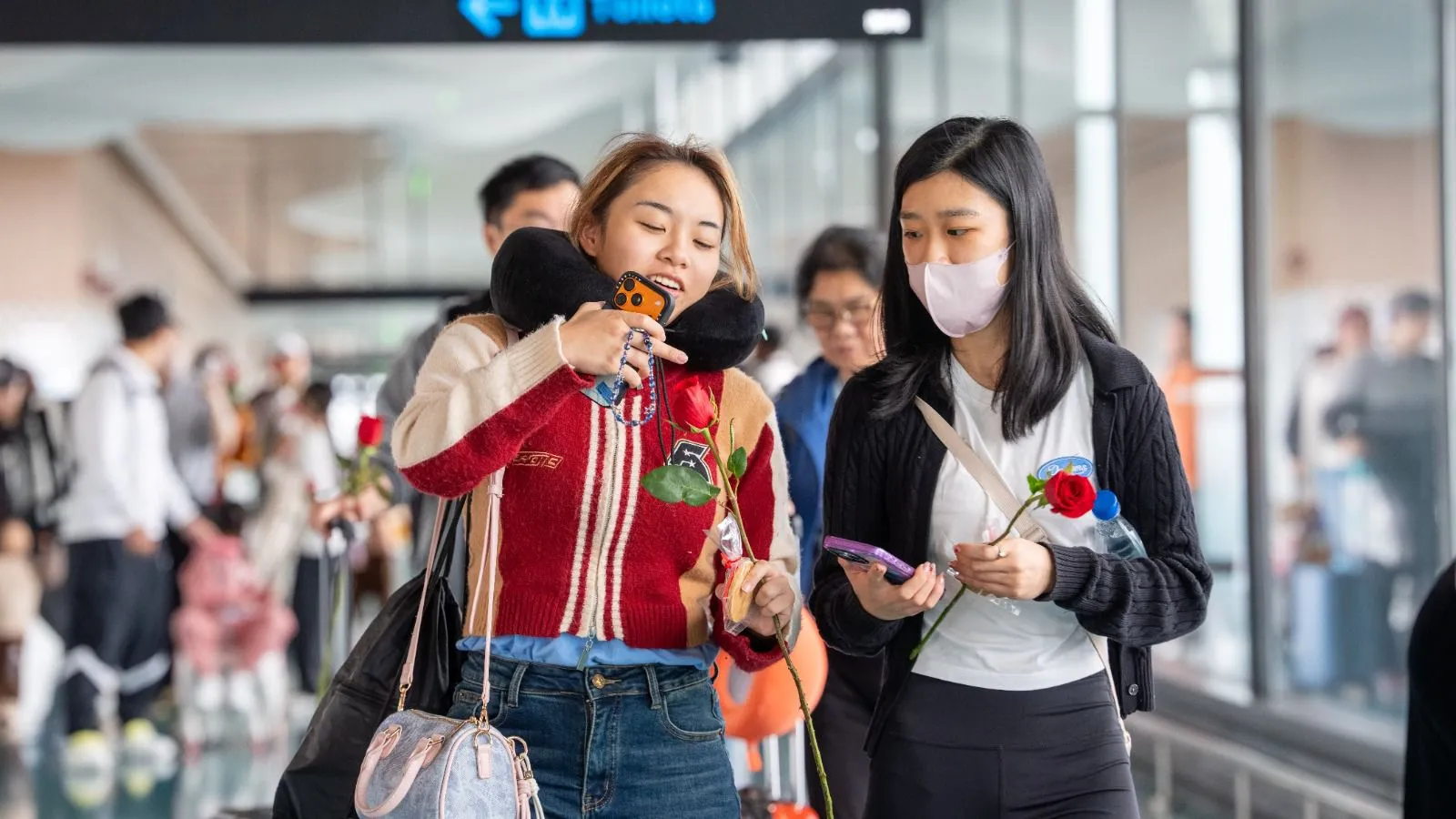 ގްރޭޓާ ބޭ އެއާލައިނުން ރާއްޖެއަށް ޗާޓަރު ދަތުރުތައް ފަށައިފި