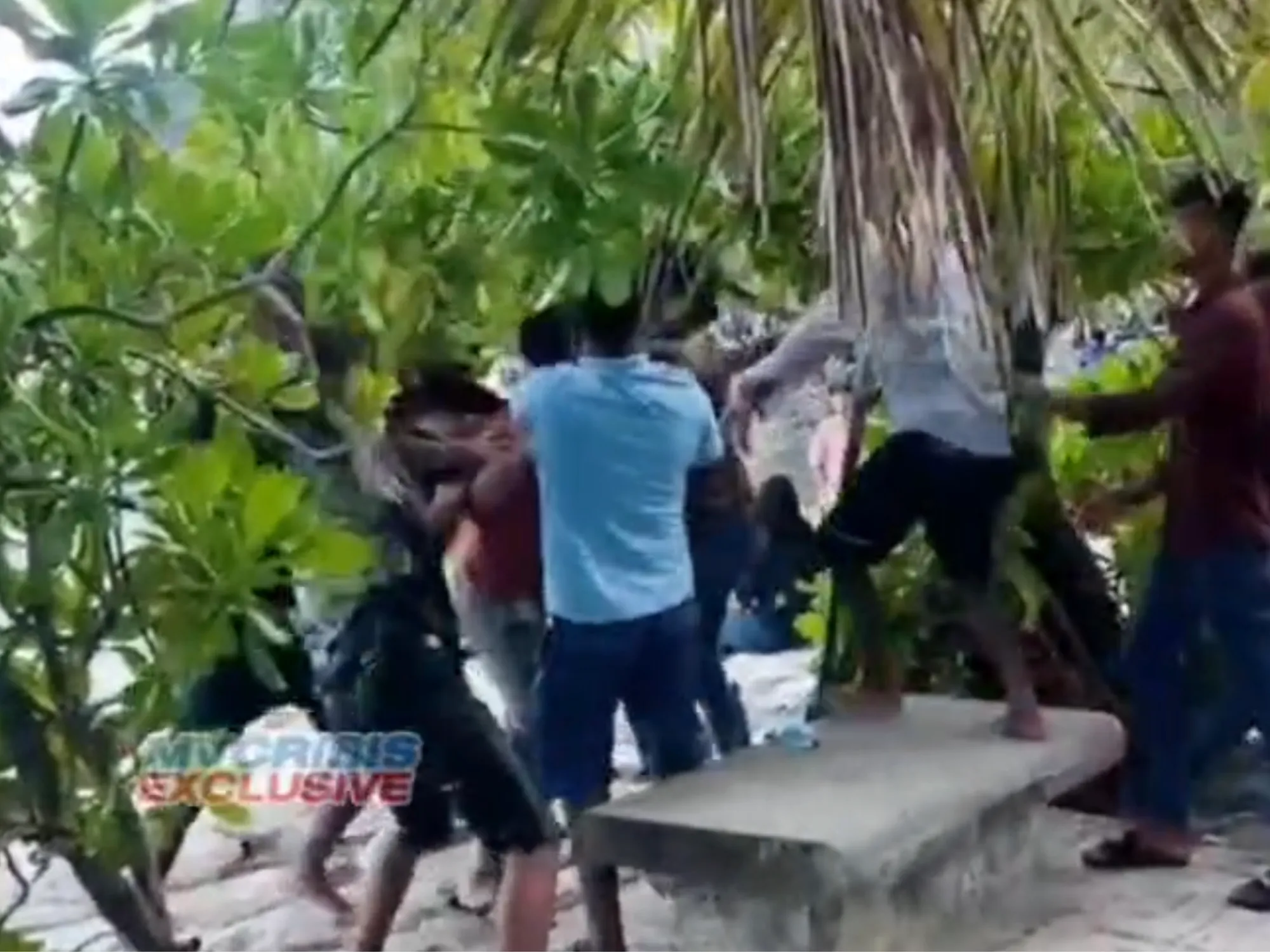 From the video of the fight(Photo/MVCrisis)
