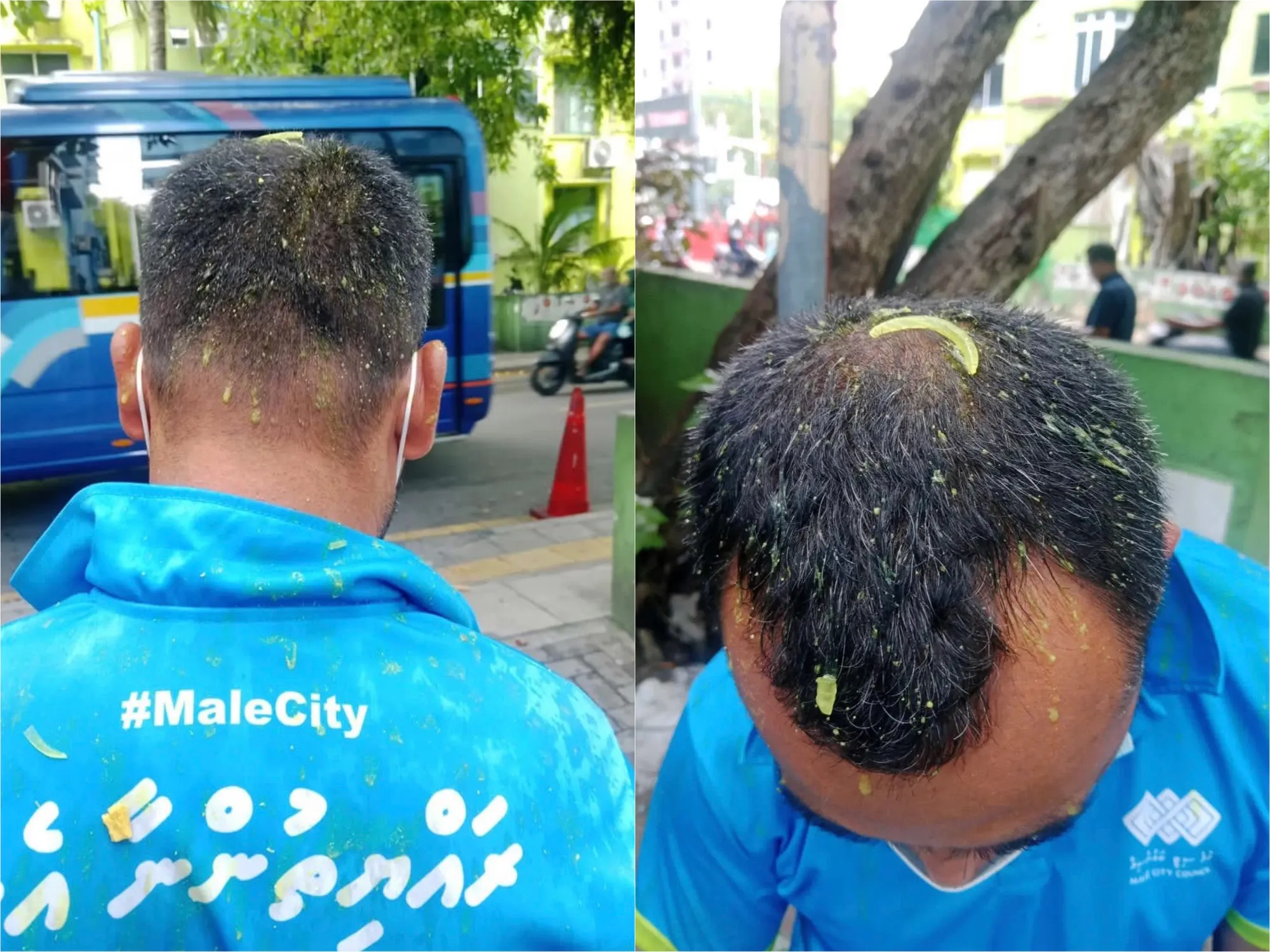 ގޮތްކުޑަ އަމަލެއް: ފްލެޓްގެ ބެލްކަންޏަށް ނިކުމެ ކުނިކޮތަޅު އެ ވައްޓާލީ ބޮލަށް