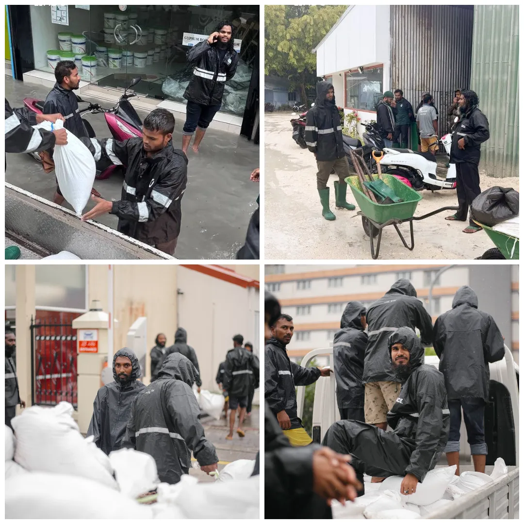 އެޗްޑީސީގެ މުވައްޒަފުން ވެލިބަސްތާތައް ޖެހުމުގެ މަސައްކަތުގައި -- ފޮޓޯ: އެޗްޑީސީ
