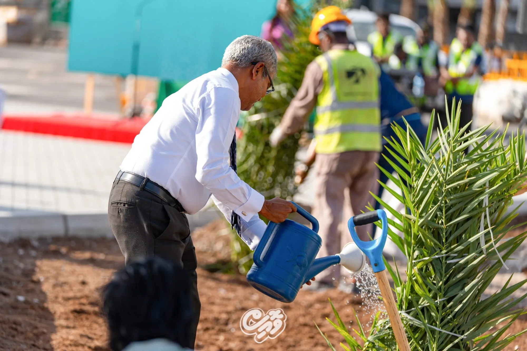 އެމްއޭސީއެލްގެ ގަސްއިންދުމުގެ ހަރަކާތް ޓޫރިޒަމް މިނިސްޓަރު ތޯރިގް ފައްޓަވައިދެއްވަނީ..