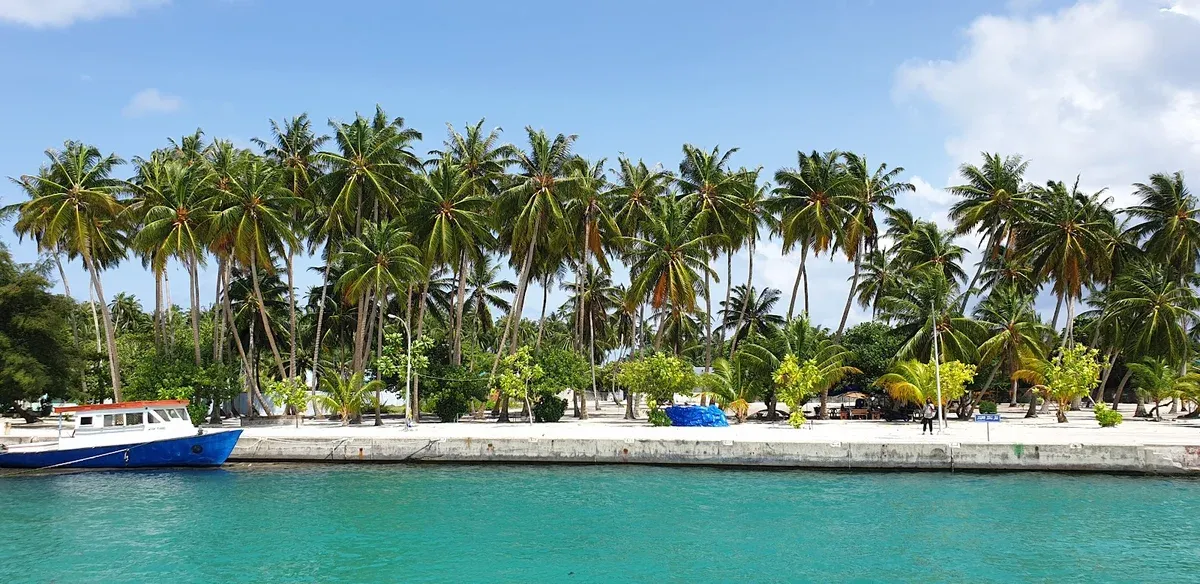 ކިނބިދޫ ގޮނޑުދޮށުން ވެލި ނެގުމުގެ މައްސަލަ ބޮޑުވެ، އެކަން ނުކުރަން ކައުންސިލުން އެދިއްޖެ