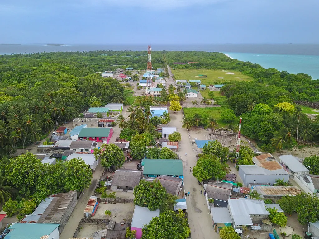 އުލިގަމް... ފޮޓޯ: ފޮކްސް މޯލްޑިވްސް
