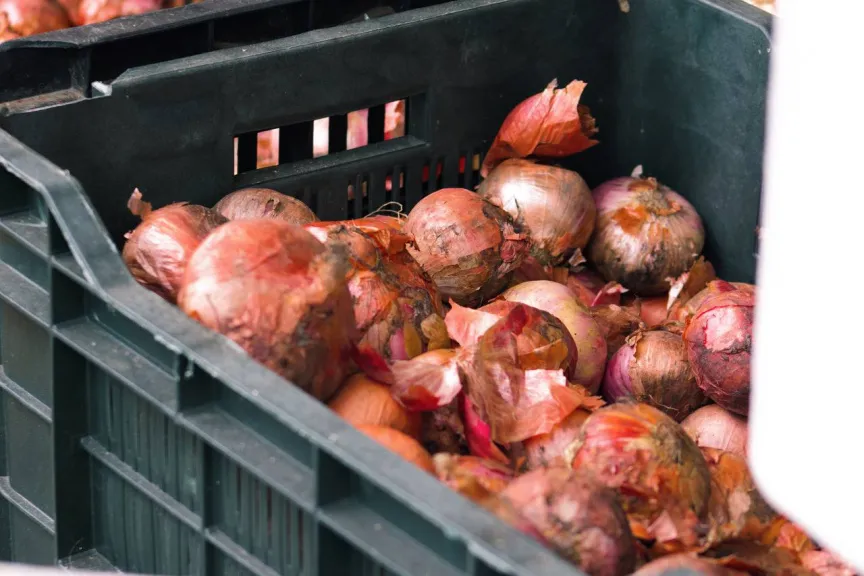 Government Assures Affordable Prices for Staple Foods During Ramadan