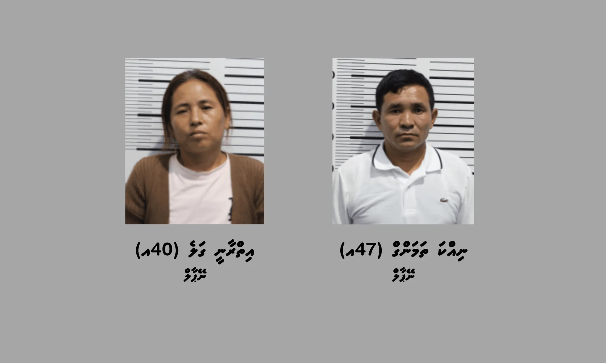ދިރުވާލައިގެން އެތެރެކުރަން އުޅުނު މަސްތުވާތަކެތީގެ ބަރުދަނުގައި 1.5 ކިލޯ ހުރި: ފުލުހުން