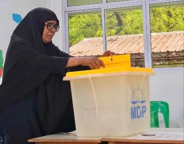 އެމްޑީޕީގެ ޗެއަރޕަރސަން ހޮވާ އިންތިޚާބުގެ ވޯޓުލުން ފަށައިފި