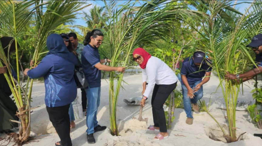 ފަސް މިލިއަން ގަސް އިންދުމުގެ ޕްރޮގްރާމުގައި މިފްކޯއިން ބައިވެރިވެ ކުޑަގިރިއަށް 500 ގަސް ހަދިޔާ ކުރުމުގެ ތެރެއިން--- ފޮޓޯ: މިފްކޯ