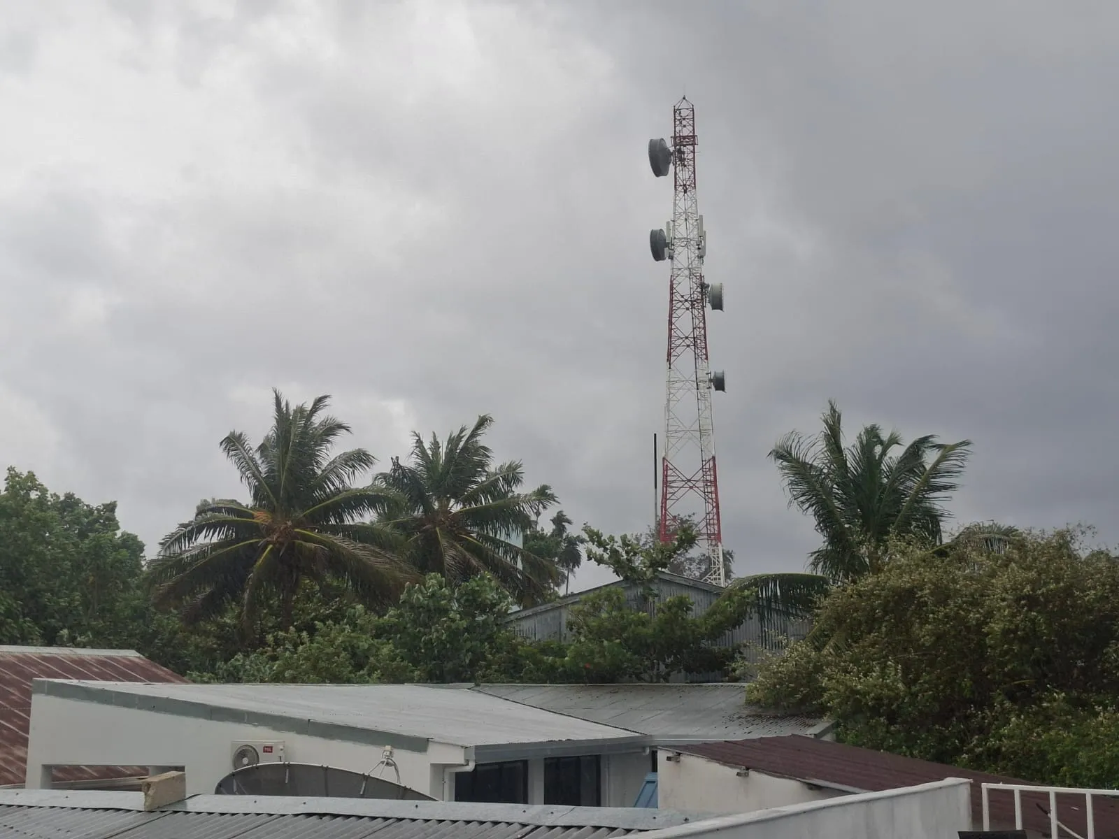 މިއަދުވެސް ވިއްސާރަ ކުރާނެ، ކަނޑުތައްވެސް ގަދަވާނެ: މެޓް