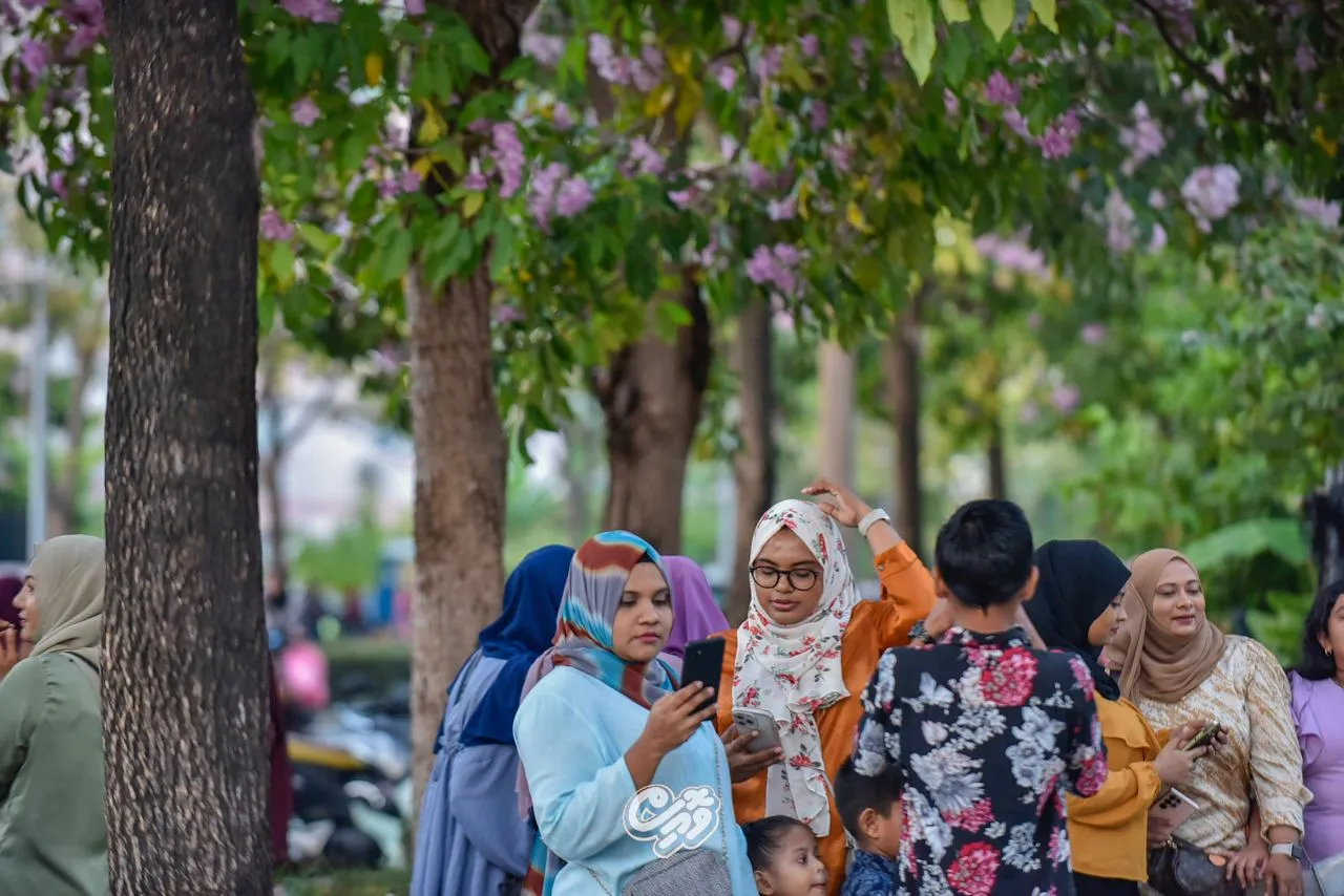 ތިމާވެށީގެ ދުވަހާ ގުޅުވައިގެން ހުޅުމާލޭގައި ރުއް އިންދަނީ